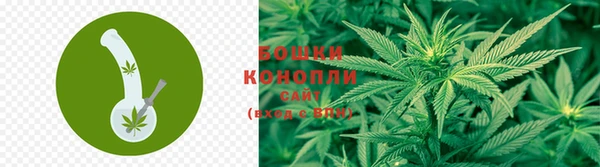 СК Богородск