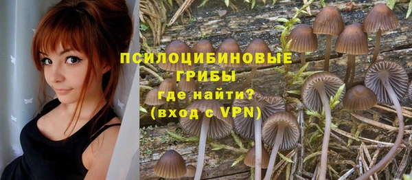 соль курить ск Богданович