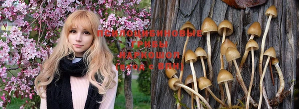 apvp Белоозёрский