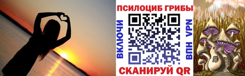 Псилоцибиновые грибы Cubensis  цена   Новая Усмань 